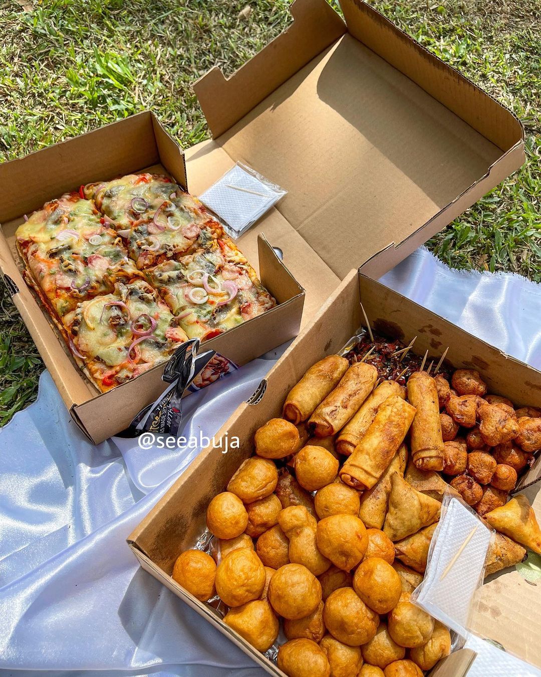 Whitneys Fnc Best Place For Small Chops In Abuja Ou Travel and Tour