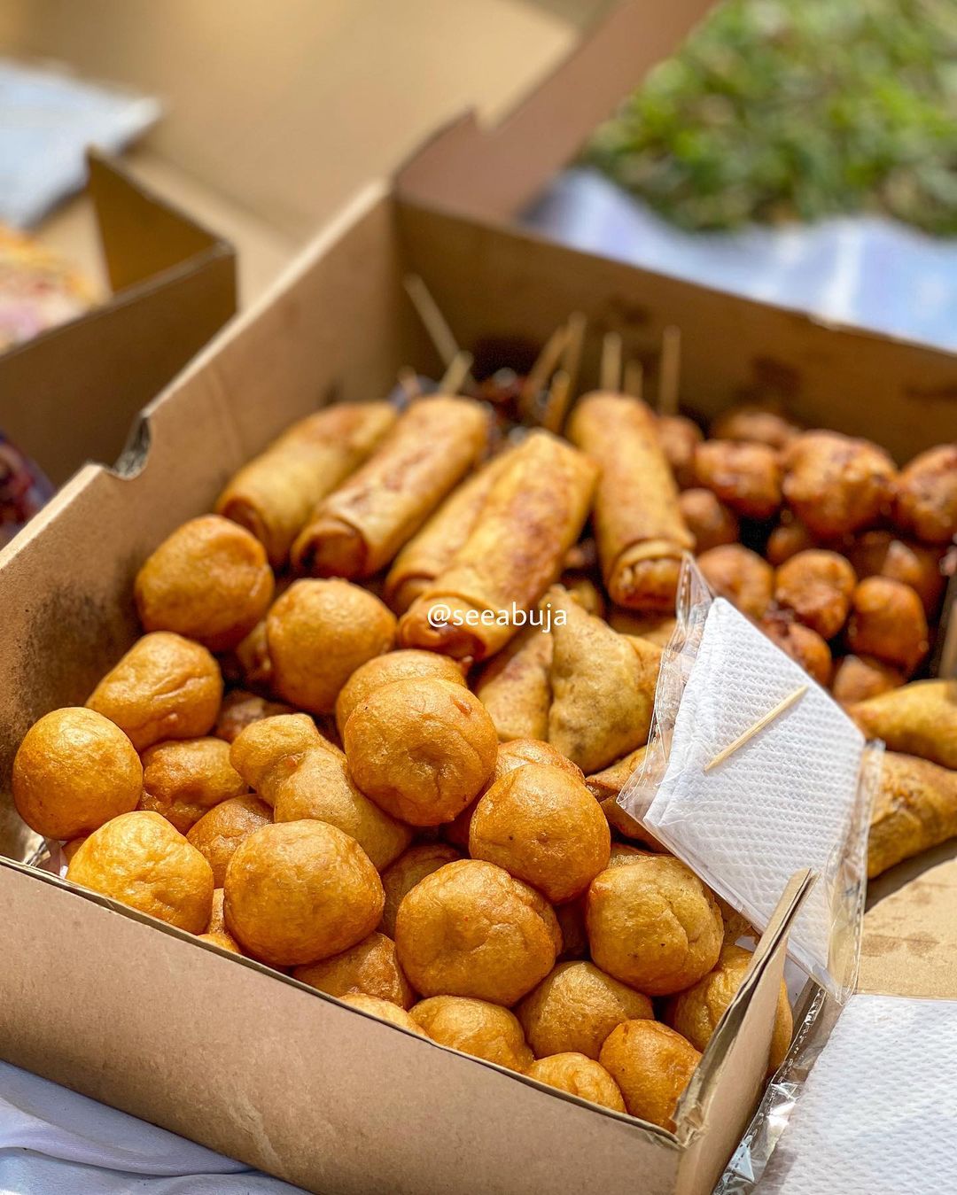 Whitneys Fnc Best Place For Small Chops In Abuja Ou Travel and Tour