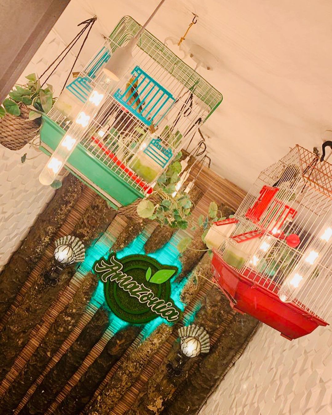 Amazonia Restaurant Abuja REVIEW Ou Travel and Tour