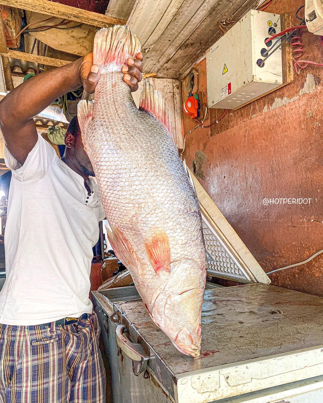 Kado Fish Market Abuja Ou Travel and Tour